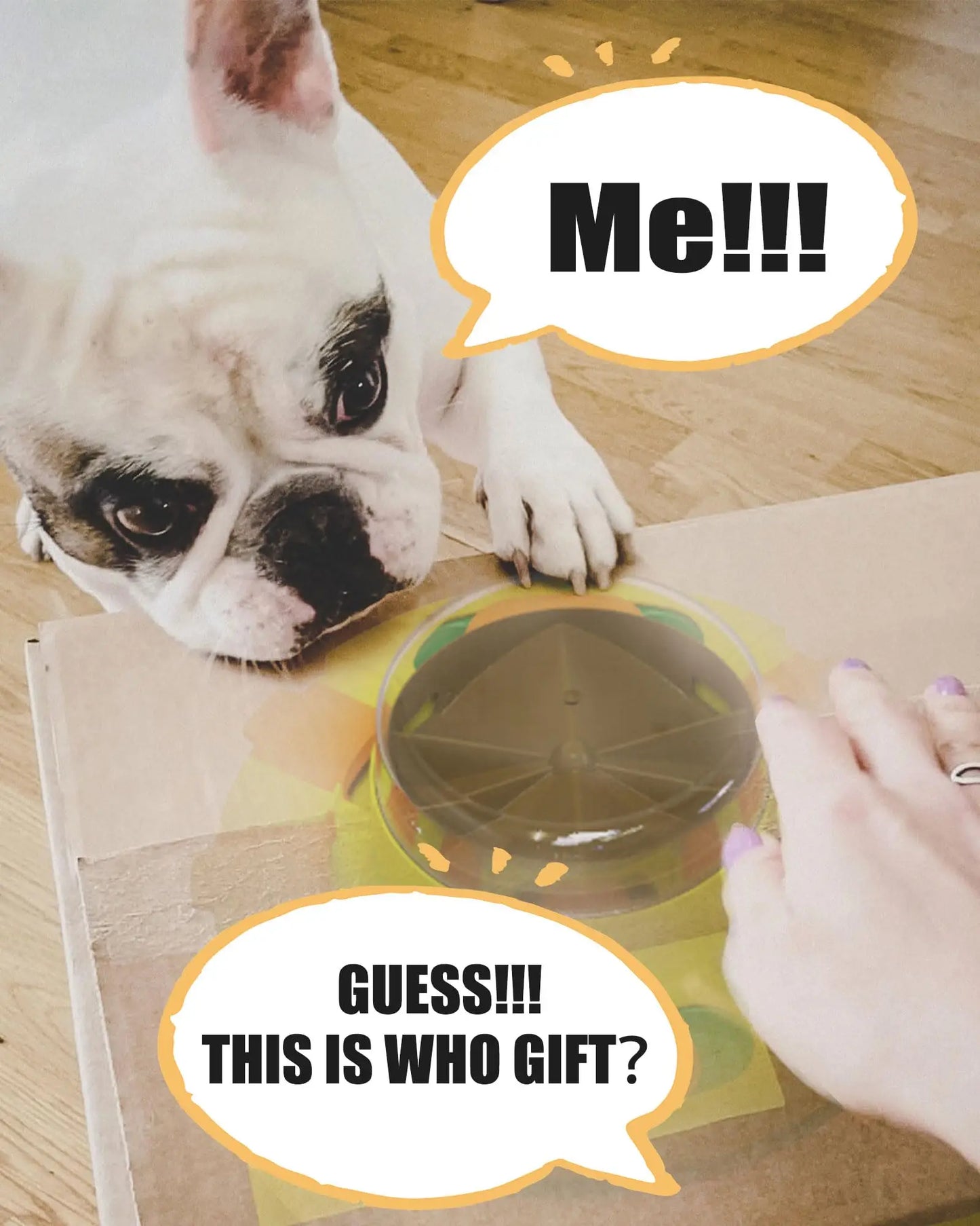 Interactive Puzzle And Pet Feeder