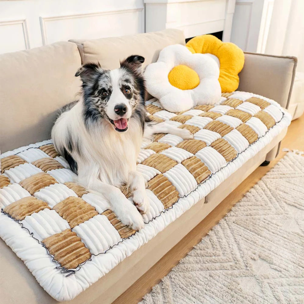 Dog and Cat Scratchable Blanket Anti-slip Washable Cushion