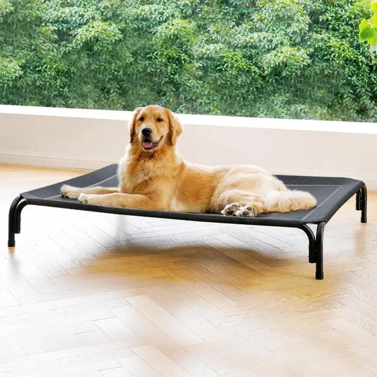 Elevated Outdoor Dog Bed with Cooling and No Tool Assembly