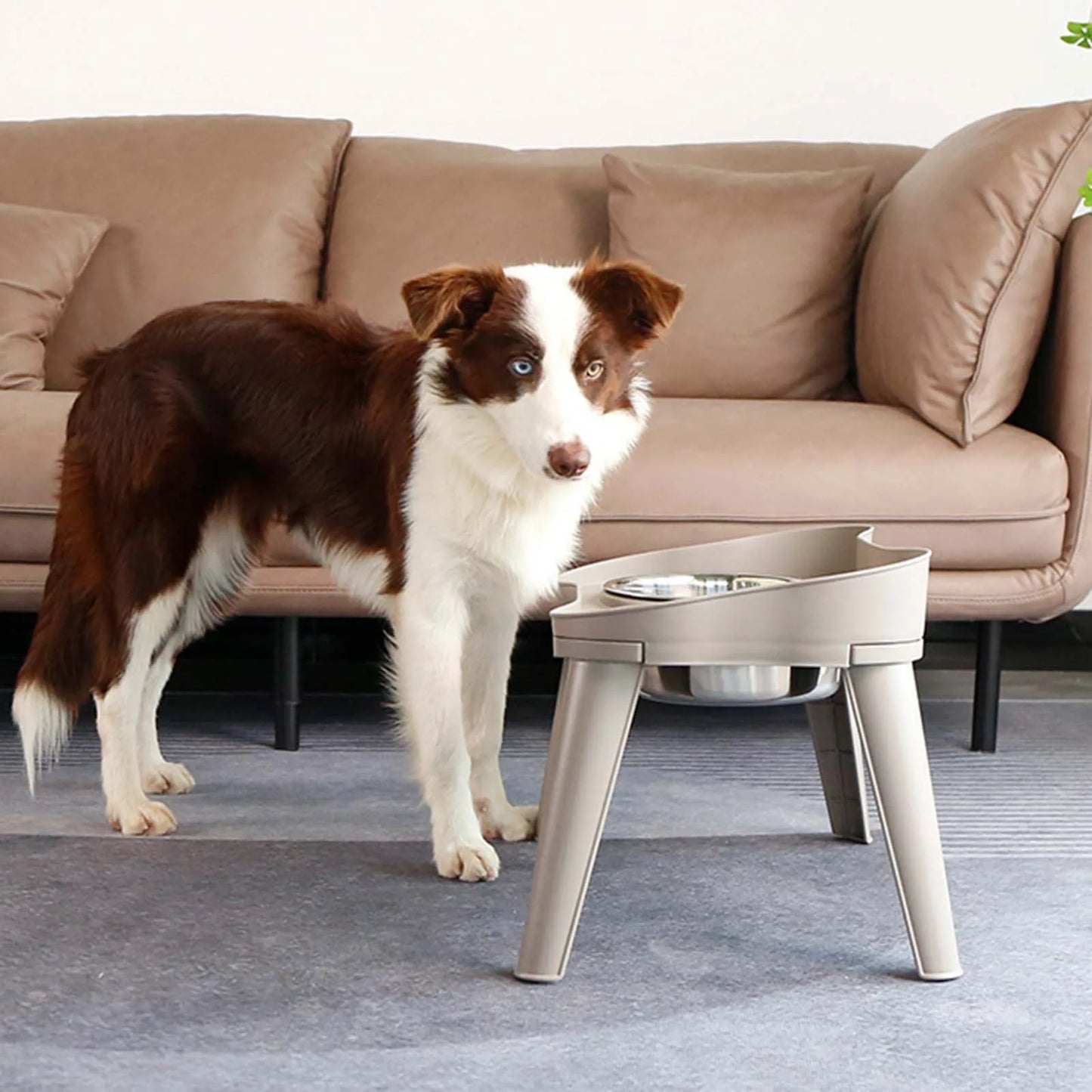 Stainless Steel Elevated Dog And Cat Bowl