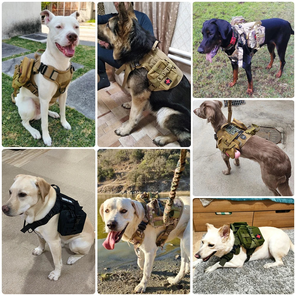 Large Military Dog Harness and Collar