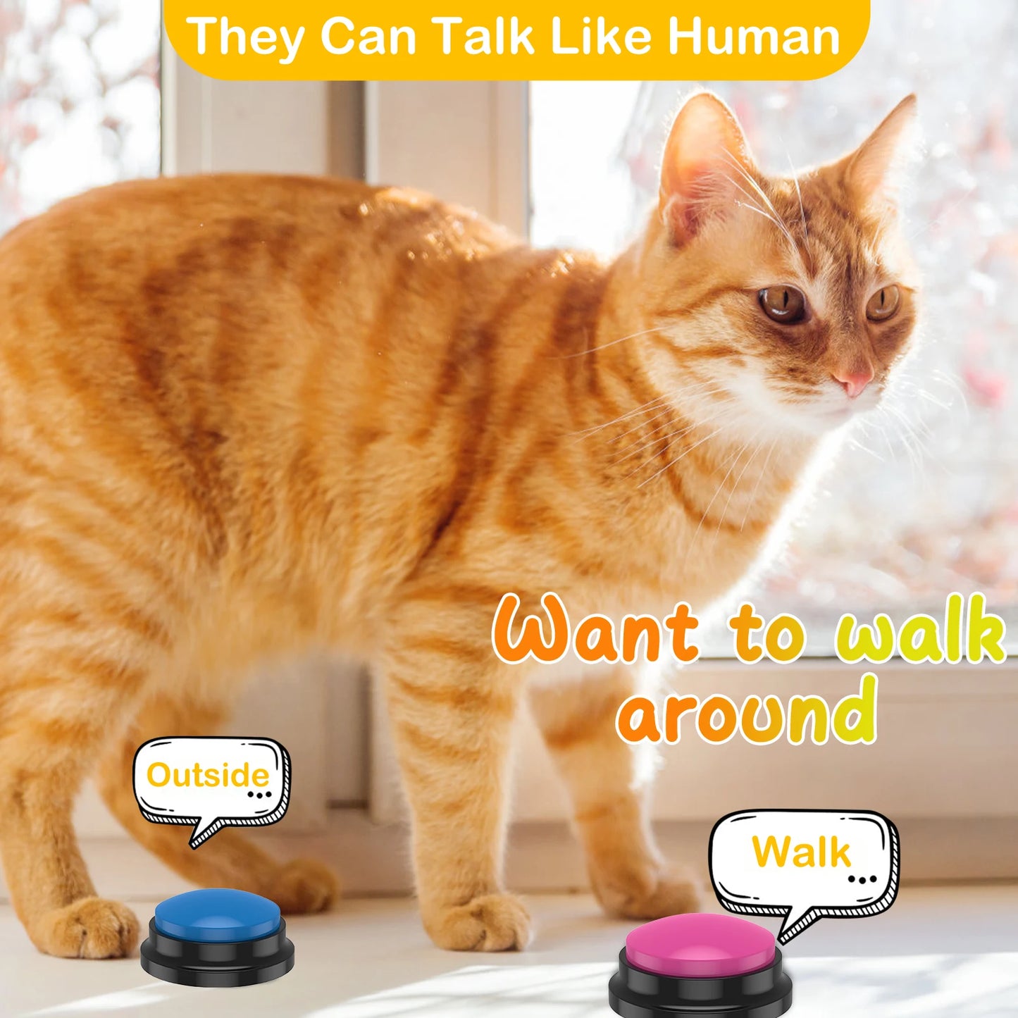 6 Color Voice Recording Dog And Cat Buttons