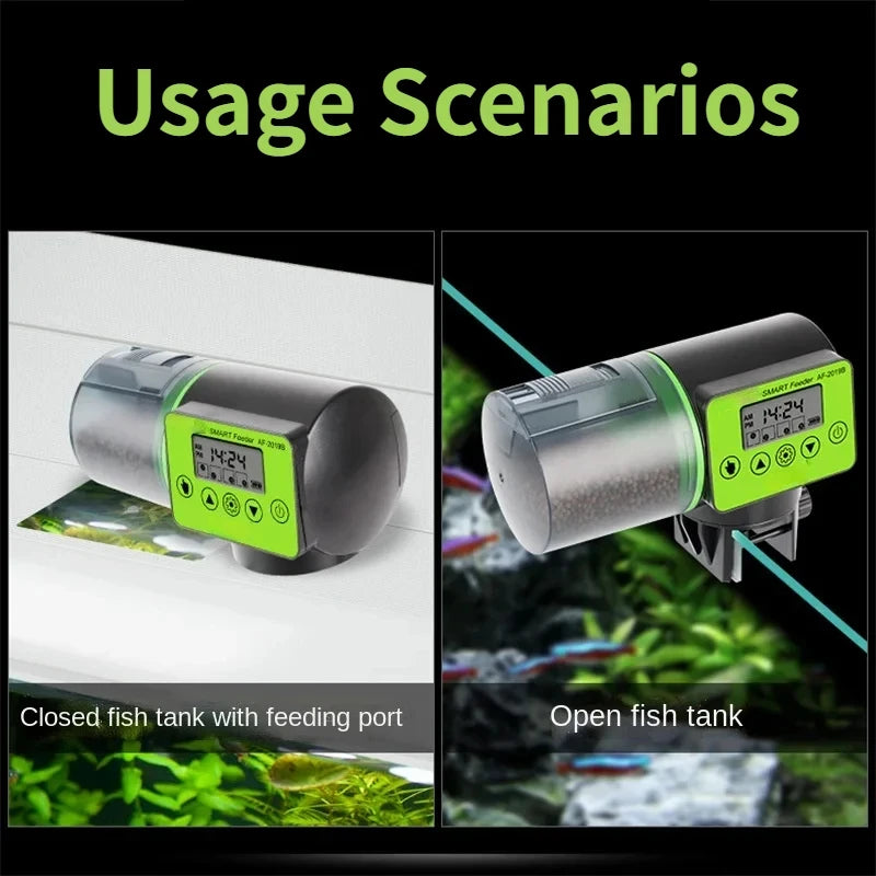 Automatic fish tank feeder